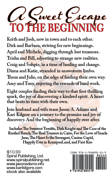 Partners in Romance hardcover