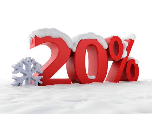 Get 20% Off for the Last 20 Days of 2024!