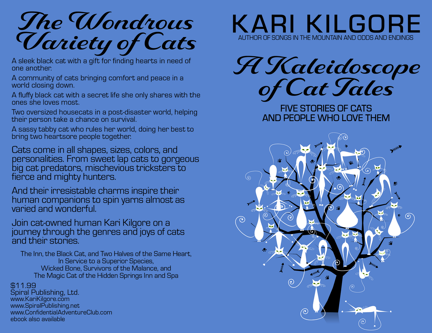 A Kaleidoscope of Cat Tales: Five Stories of Cats and People Who Love Them