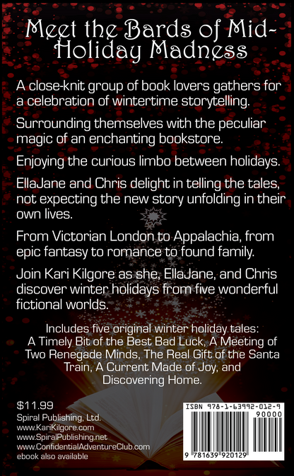 A Tapestry of Holiday Tales: Winter Adventures from the Odds and Endings Bookstore