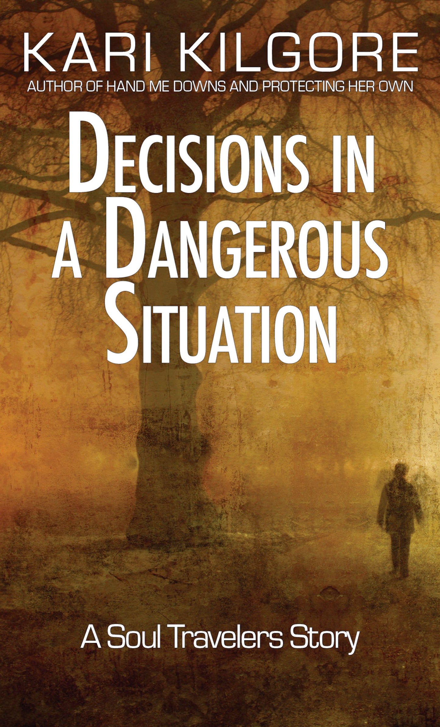 Decisions in a Dangerous Situation