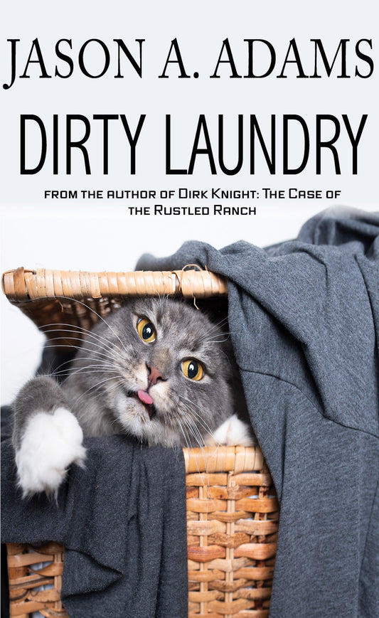 Dirty Laundry