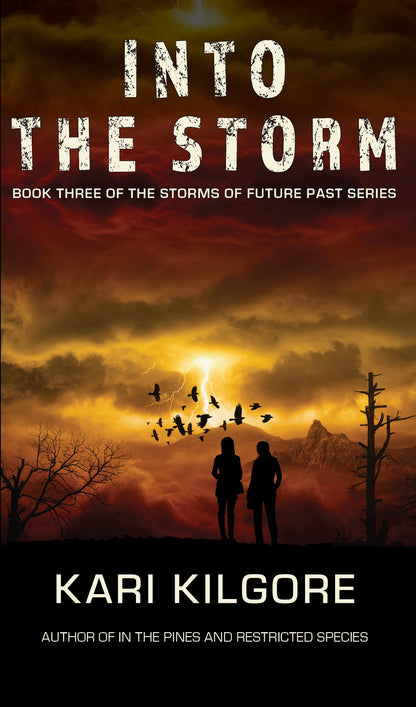 Into the Storm: Book Three of the Storms of Future Past Series