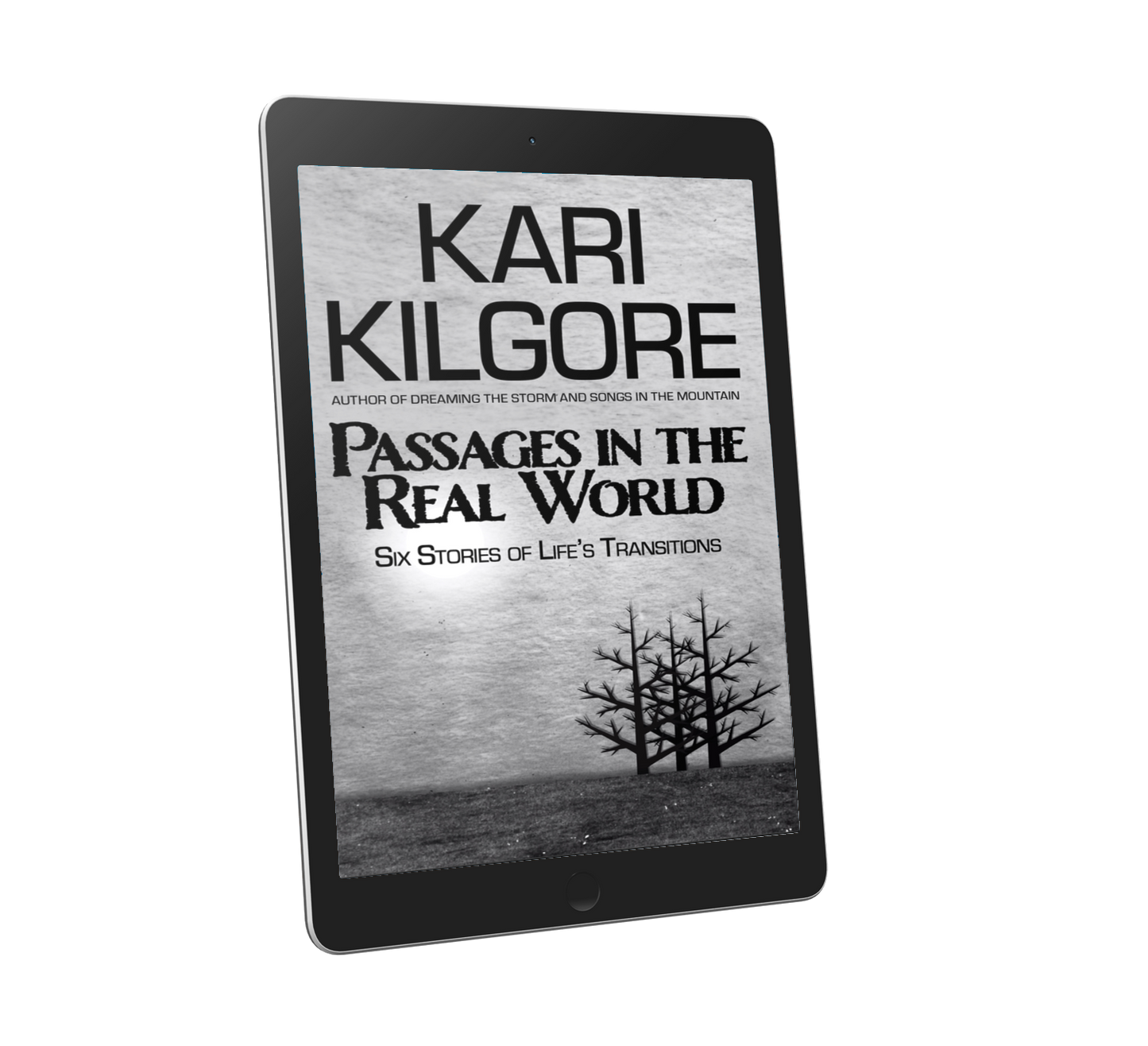 Passages in the Real World: Six Stories of Life's Transitions hardcover