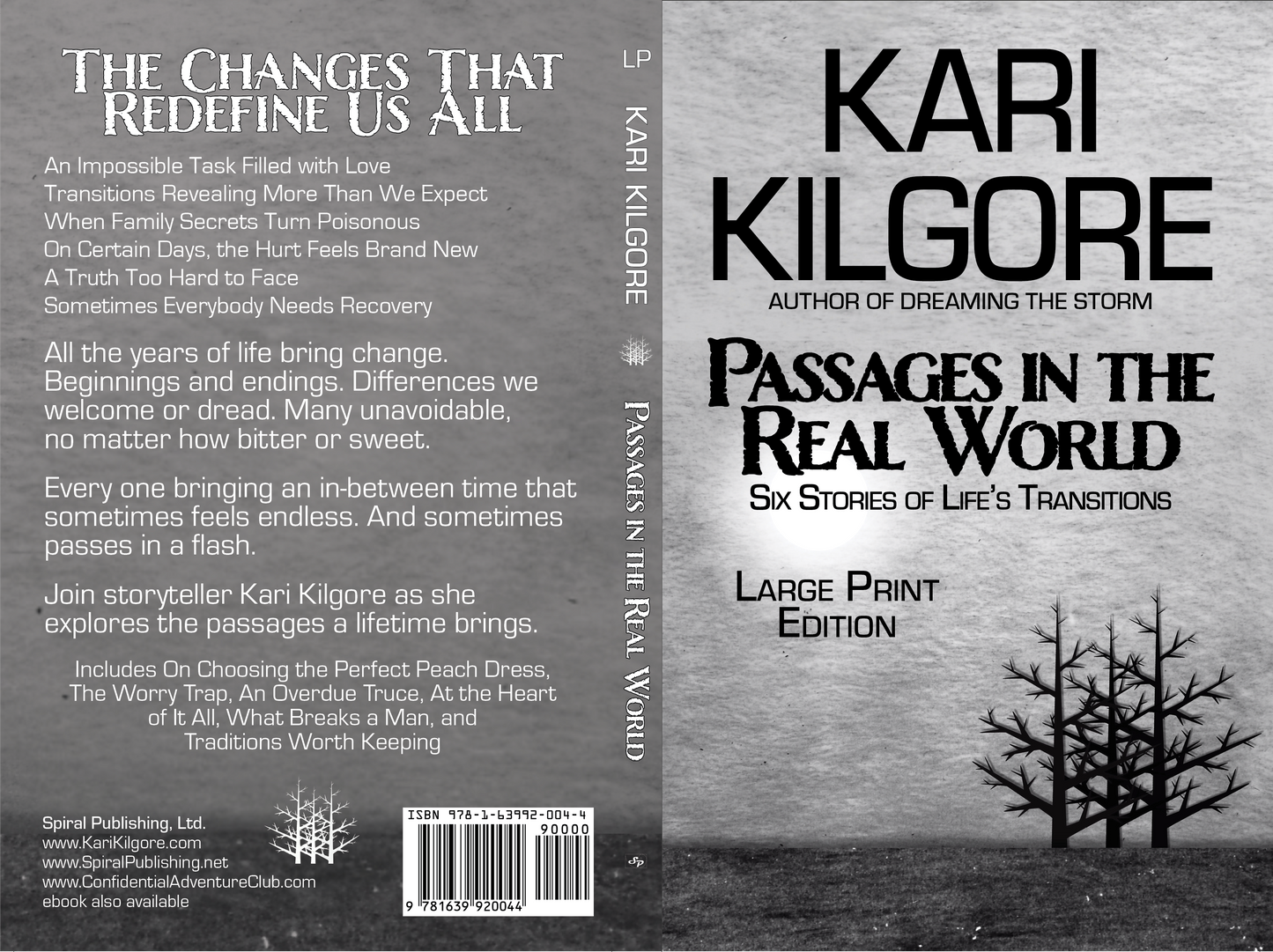 Passages in the Real World: Six Stories of Life's Transitions hardcover