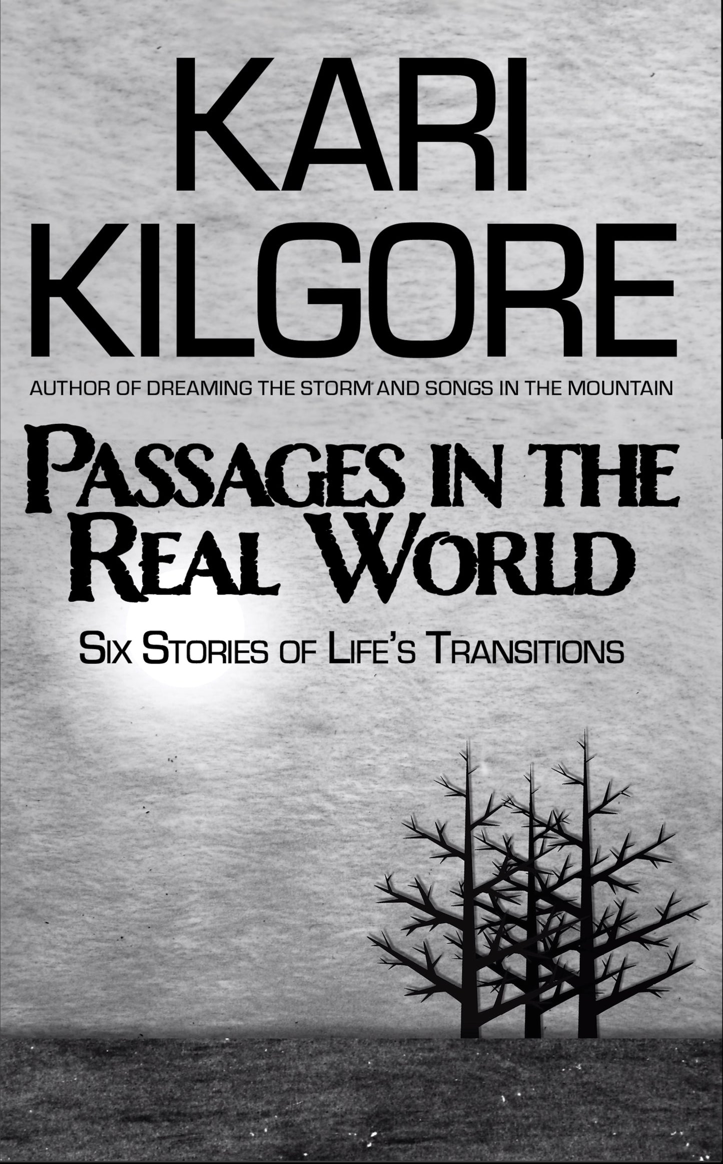 Passages in the Real World: Six Stories of Life's Transitions hardcover