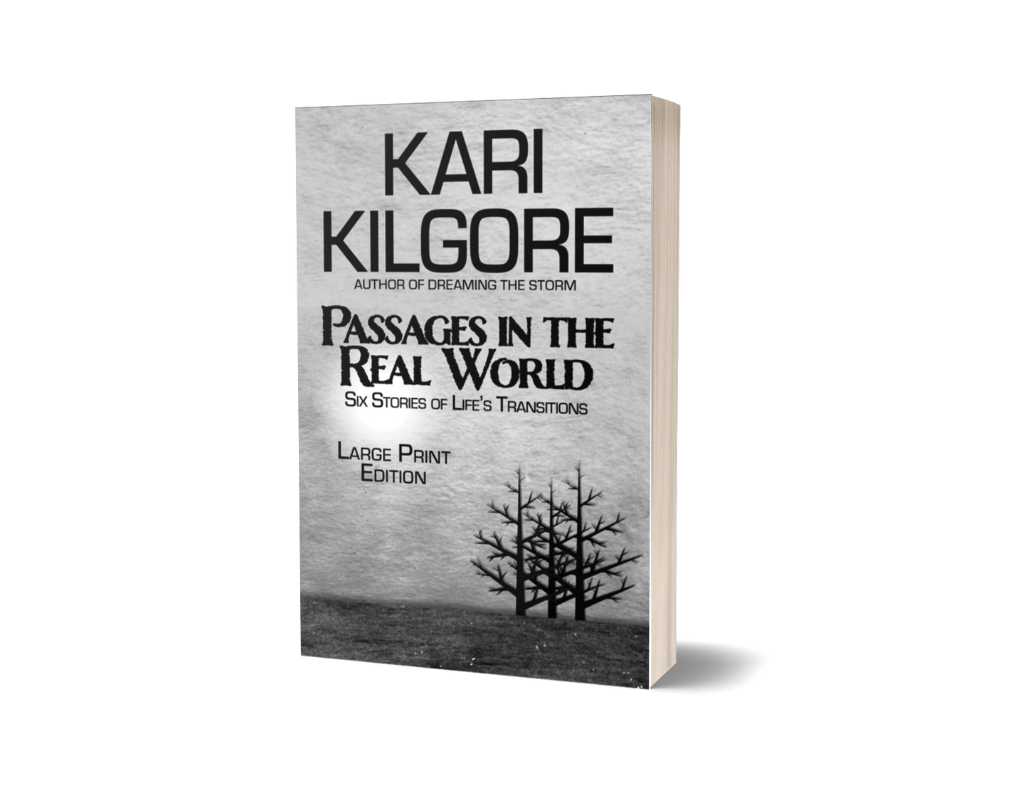 Passages in the Real World: Six Stories of Life's Transitions hardcover