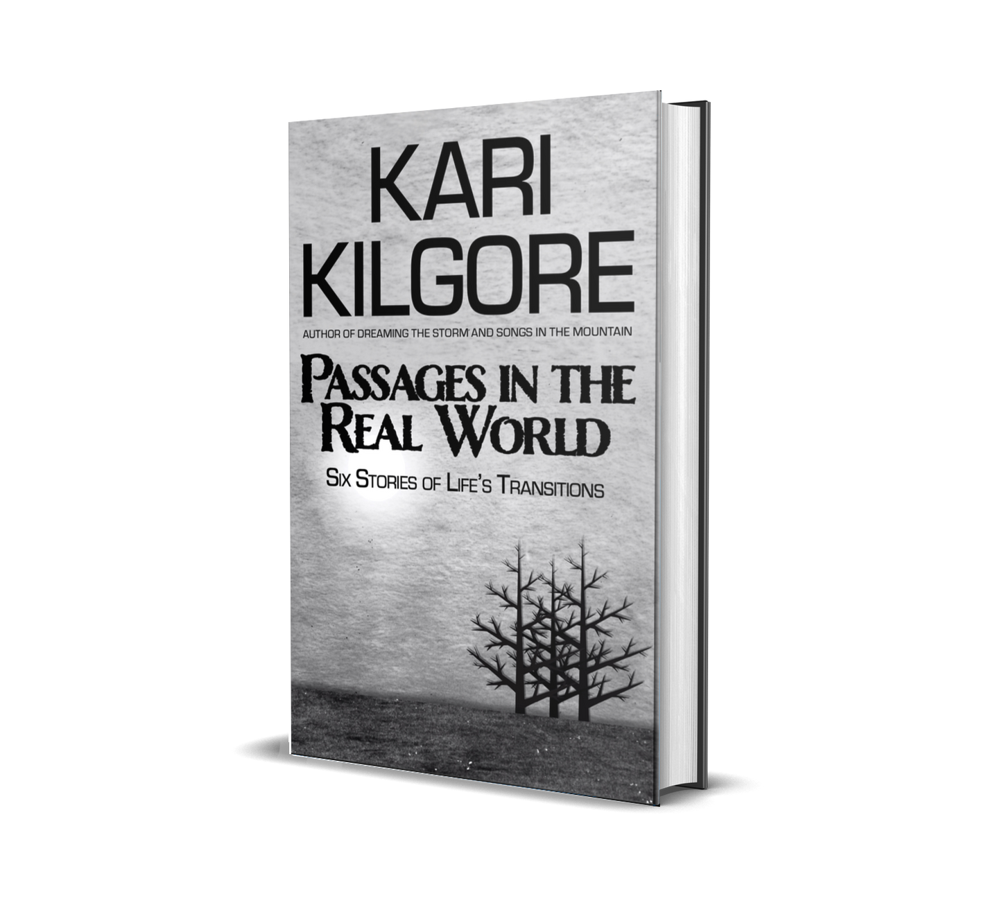 Passages in the Real World: Six Stories of Life's Transitions hardcover