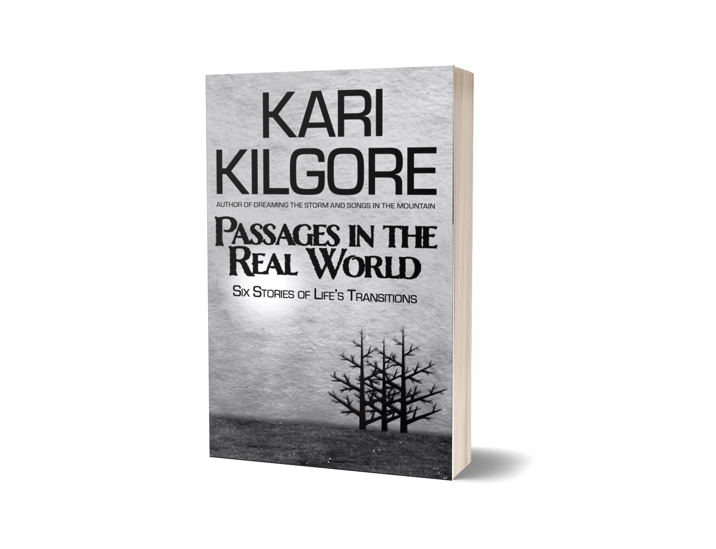 Passages in the Real World: Six Stories of Life's Transitions hardcover