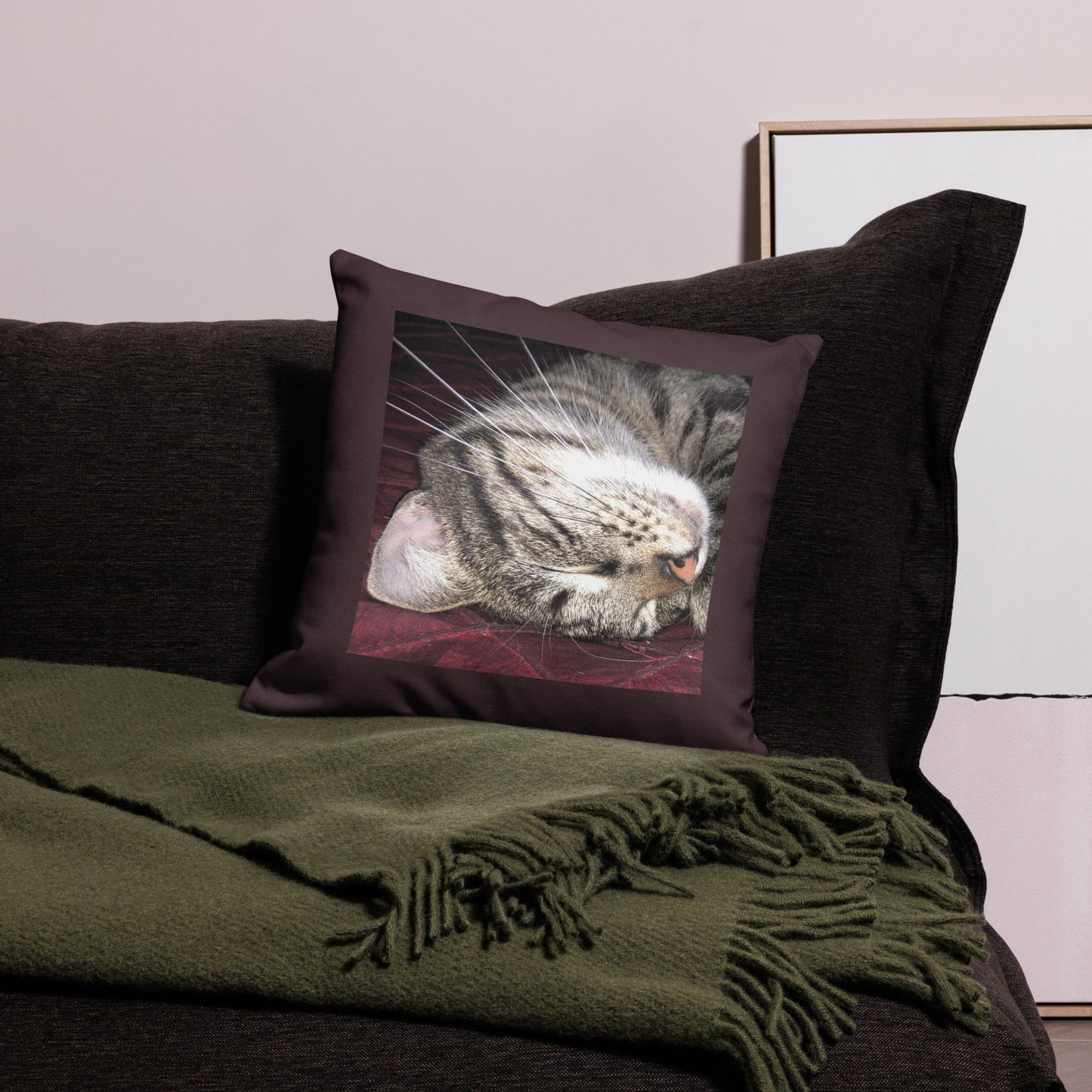 Zortea the Magic Cat Premium Pillow