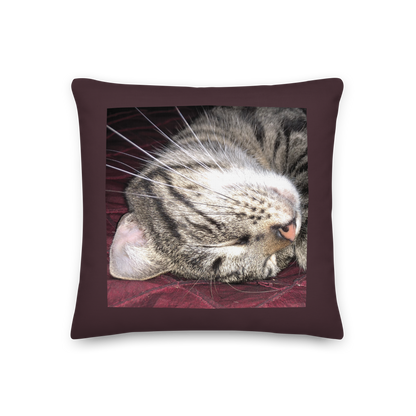 Zortea the Magic Cat Premium Pillow